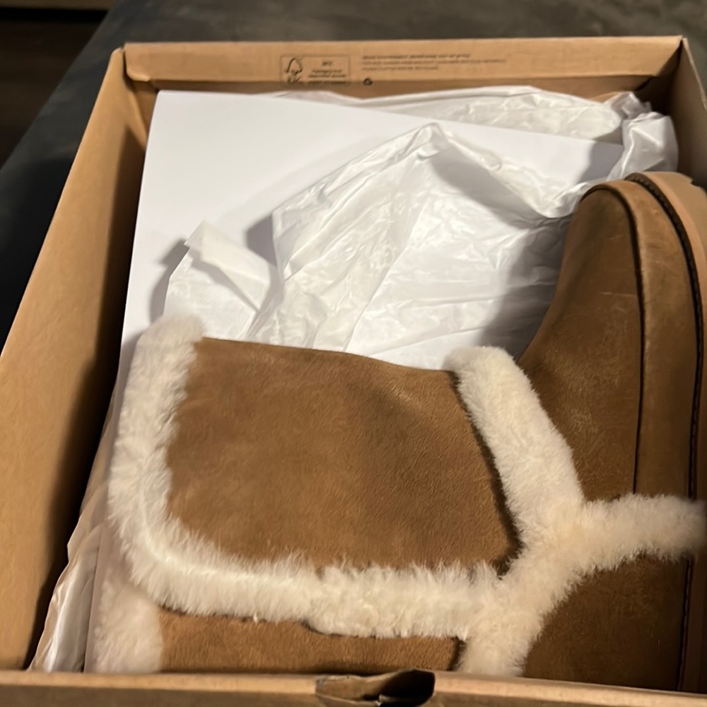 Shorts Uggs